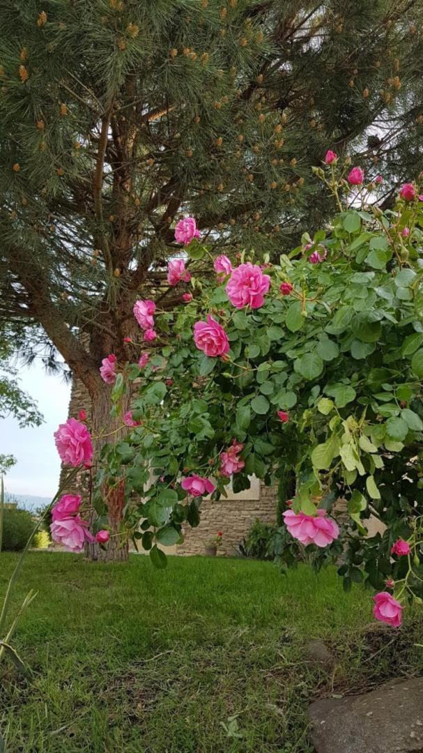 Bed and Breakfast Relais De Navon Saint-Joseph  Exteriér fotografie